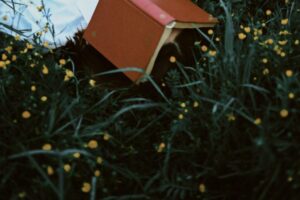 These 10 Self-Help Books Will Change Your Life