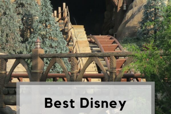 Top 10 Best Roller Coasters at Disney World