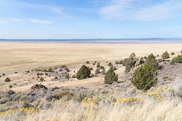 Top 10 Largest Lakes in California