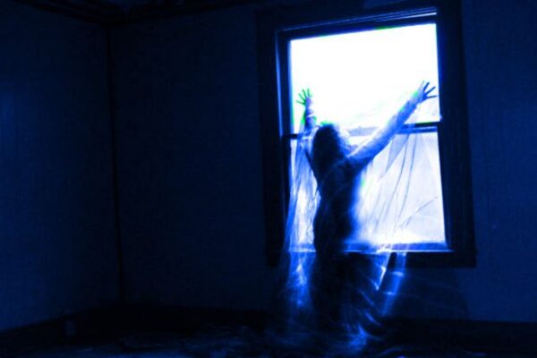 Top 10 Horror Movies That Will Keep You Awake Tonight