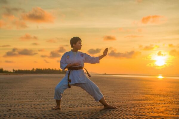 Top 10 Martial Artists of All Time