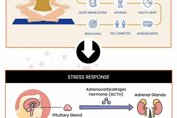Top 10 Causes of Stress at Work & Divorce You Need to Avoid