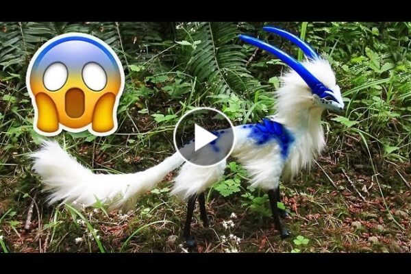 Top 10 Weirdest Animals You Won’t Believe Exist
