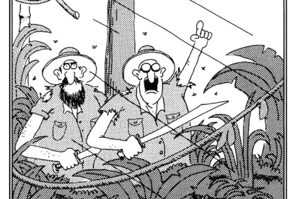 Top 10 Funniest Far Side Cartoons Ever Made
