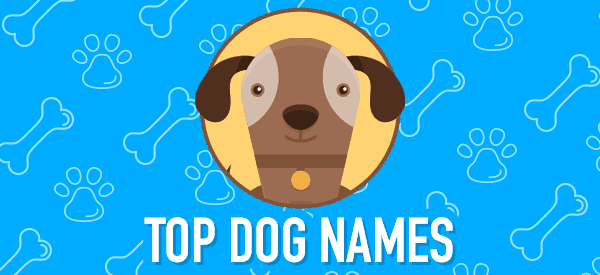 Top 10 Dog Names Everyone Is Choosing in 2026