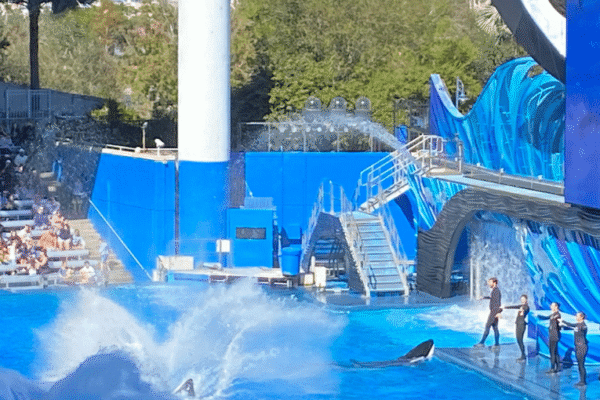 Top 10 Orlando Attractions You Must Visit