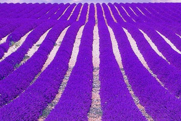 Top 10 Most Beautiful Places to Visit Before You Die