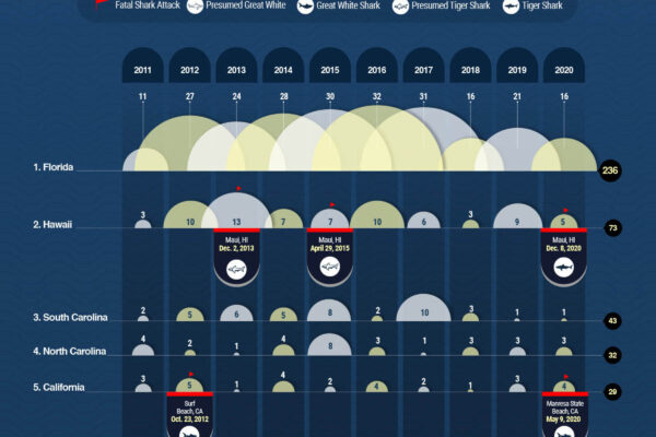 Top 10 States With Most Shark Attacks