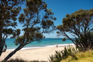 Top 10 Beaches at Coromandel You Need to See