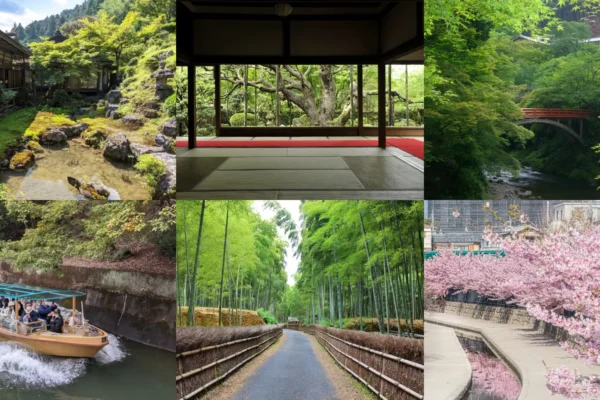 Top 10 Things to Do in Kyoto (Hidden Gems Included)