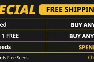 Top 10 Cannabis Seeds from Barney’s Farm (Grower Picks)