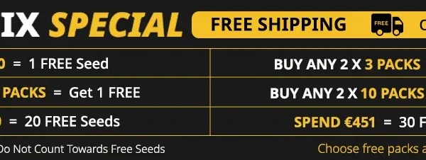 Top 10 Cannabis Seeds from Barney’s Farm (Grower Picks)