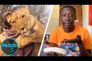 Top 10 “Top 10 Lists” That Went Viral Online