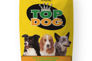 Top 10 Dog Foods Ranked by Experts
